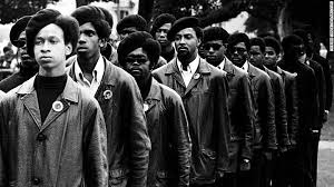 Partido dos Panteras Negras: História, Ideais e Impacto